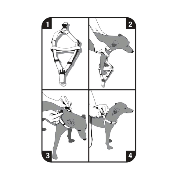 NWT Dog Collar & Leash Combo Size: Small - Picture 7 of 7